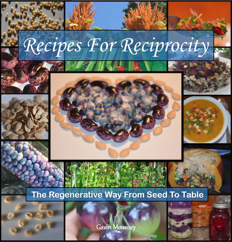 Recipes for Reciprocity